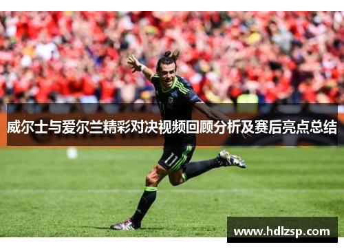威尔士与爱尔兰精彩对决视频回顾分析及赛后亮点总结